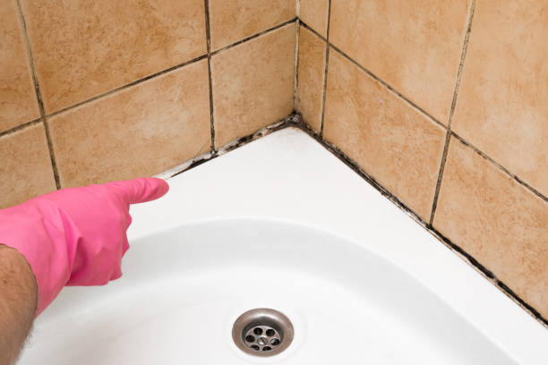 Crawl Space Mold Removal in Ko Olina, HI